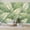 Color 4, variant on Wallpaper Green Tropical Monstera Leaves Botanical Peel and Stick Wall Murals 69"H x 96"W Removable PVC Wall Paper Self-Adhesive Wall Paintings Art Decor for Bedroom Living Room