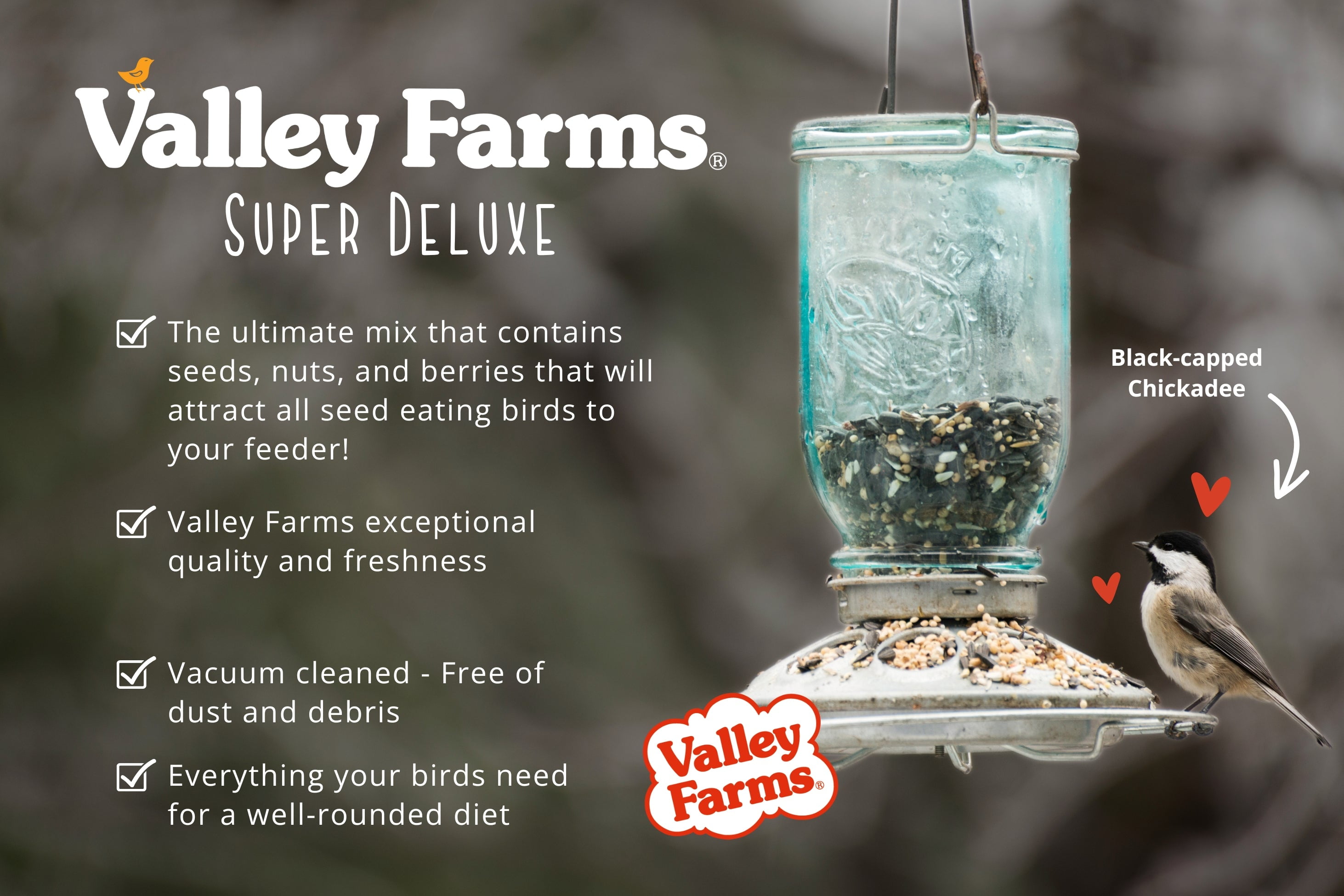 Valley Farms Super Deluxe Wild Bird Food