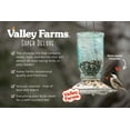 thumbnail image 6 of Valley Farms Super Deluxe Wild Bird Food, 6 of 13