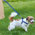 thumbnail image 5 of Cute Paw Print Step Dog Harness and Leash Set Nylon Adjustable Dog Harness Walking Leash Strap for Small Medium Dogs, 5 of 9