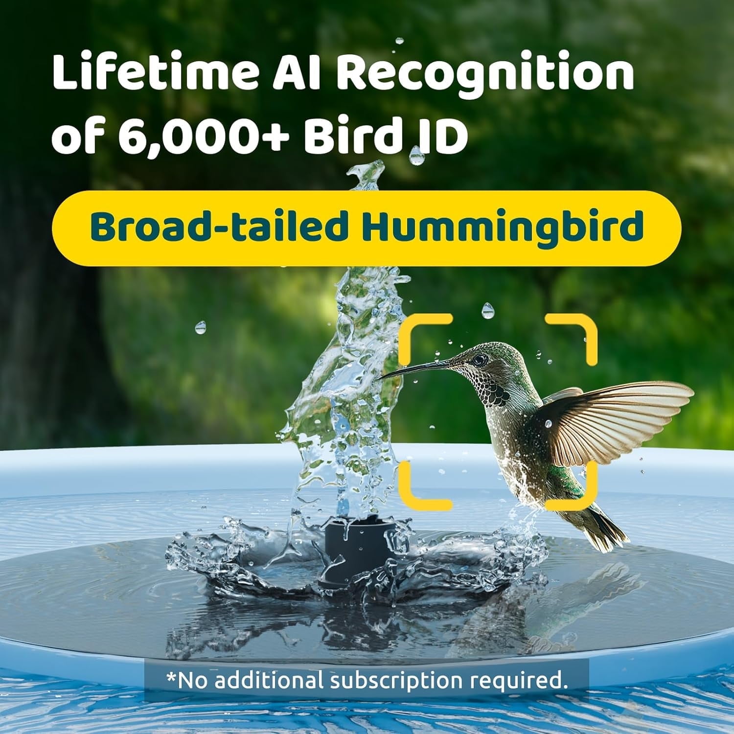Birdfy Bird Bath with Camera, Solar Powered, Round Pond Fountain, 1080P HD Bird Camera Auto Capture Bird Bath Videos, Blue