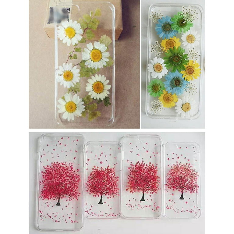 Dried Daisy Flowers Crafts Pressed Flower For DIY Art Jewelry Making 10pcs  Resin