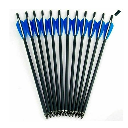 Carbon Crossbow Bolts 20 inch Hunting Archery Arrows with Vanes Moon Nocks and Removable Tips12 Pack