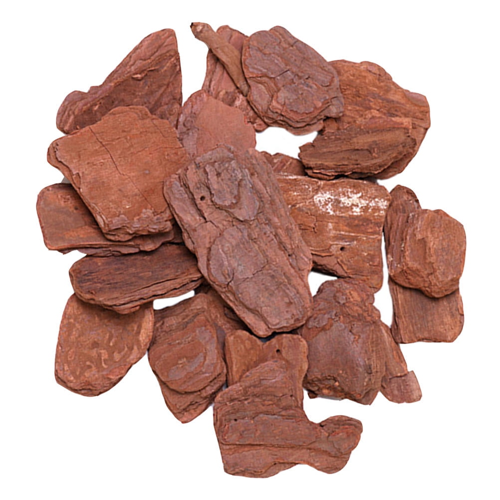 DRAFIDEEP 1 Pack Natural Pine Bark Reptile Terrarium Decor, Irregular Shape for Habitat Enhancement