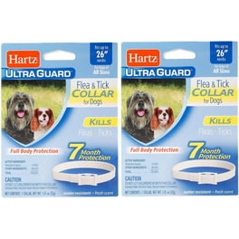 Best flea collar for dogs walmart discount