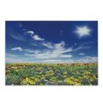 thumbnail image 1 of Flower Cutting Board, Flowers Meadow and Cloudy Sky Nature Landscape Print Vivid Sun Springtime, Decorative Tempered Glass Cutting and Serving Board, Small Size, Multicolor, by Ambesonne, 1 of 1
