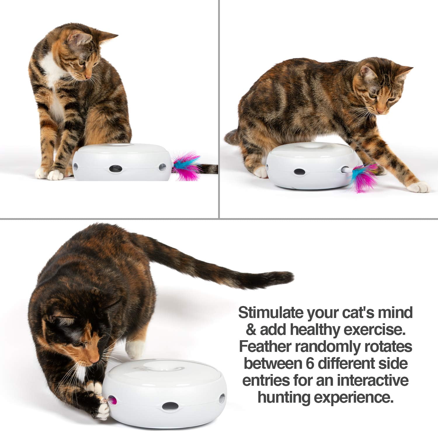 Ambush Interactive Cat Toys For Indoor/outdoor Activity - & Improved Replacement Feathers Available