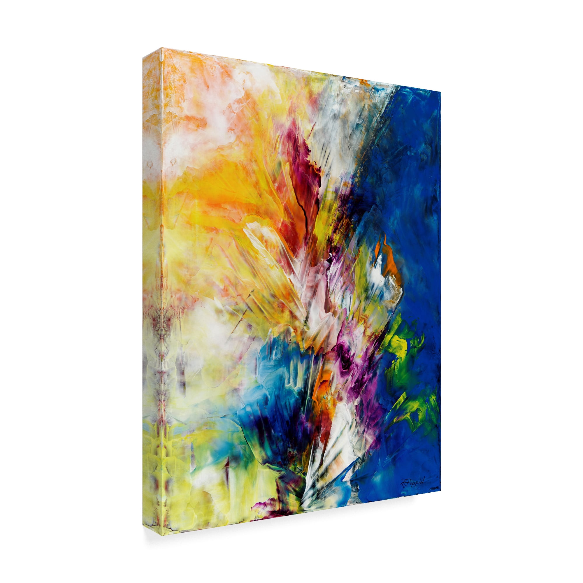 Trademark Fine Art 'Do It With Flair' Canvas Art by Aleta Pippin