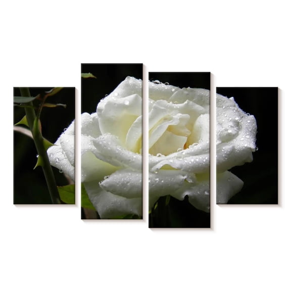 Elephant Stock Dewdrops On White Rose Wall Art - Horizontal Multi Panel Canvas - Living Room Wall Decor - Floral And Botanical Multi Panel - Black And White Decor - 24" x 14"