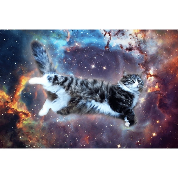 Taladro Pintura Diamante (DF3434) 5D DIY Kits de bordado de punto de cruz de gato completo (H023) 40x50cm Hugtrwg Para estrenar