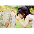 thumbnail image 3 of 33*37cm Large Butterfly Habitat Cage, Caterpillar Fence Butterfly Net Cage Foldable Insect Mesh Cage for Insect Watching Feeding, 3 of 5