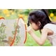 thumbnail image 3 of Mini Tienda De Invernadero De Plantas Naranja con Cubierta Transparente Casa De Cultivo De Plantas Protegidas, Protector De Cubierta De Plantas De Jardinería Plegable Portátil Observación De Red, 3 of 5
