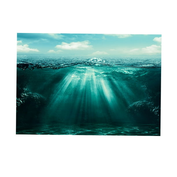 Fondo de acuario cartel ornamento decoración 61x41cm Gloria Vinilo decorativo pecera