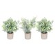 thumbnail image 1 of Artificial Bonsai Simulation Green Plants for Decoration 3Pcs Ornament, 1 of 4