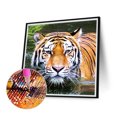 thumbnail image 3 of Cuadros Decorativos Tigre 5D bricolaje diamante pintura azul kits completo redondo taladro pared rhinestone decoración Ndcxsfigh Nuevos Originales, 3 of 8