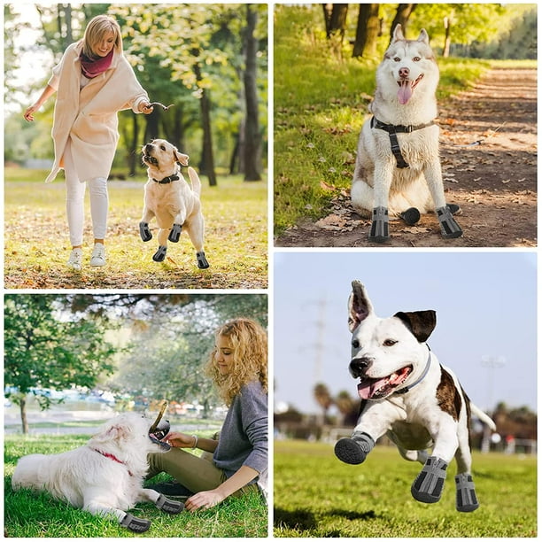 IGUOHAO Dog Boots Dog Shoes for Hot Pavement Heat Protection