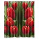 thumbnail image 1 of ABPHQTO Hermosa cortina de ducha de flores Cortina de ducha impermeable 150x180 cm, 1 of 2