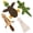 Green/Brown, variant on Best Pet Supplies 2-in-1 Stuffless Squeaky Dog Toys with Soft, Durable Fabric for Small, Medium, and Large Pets, No Stuffing for Indoor Play, Holds a Plastic Bottle - Fox, Raccoon, Medium