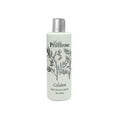 thumbnail image 1 of Lady Primrose Celadon Skin Moisturizer Package May Vary, 1 of 1