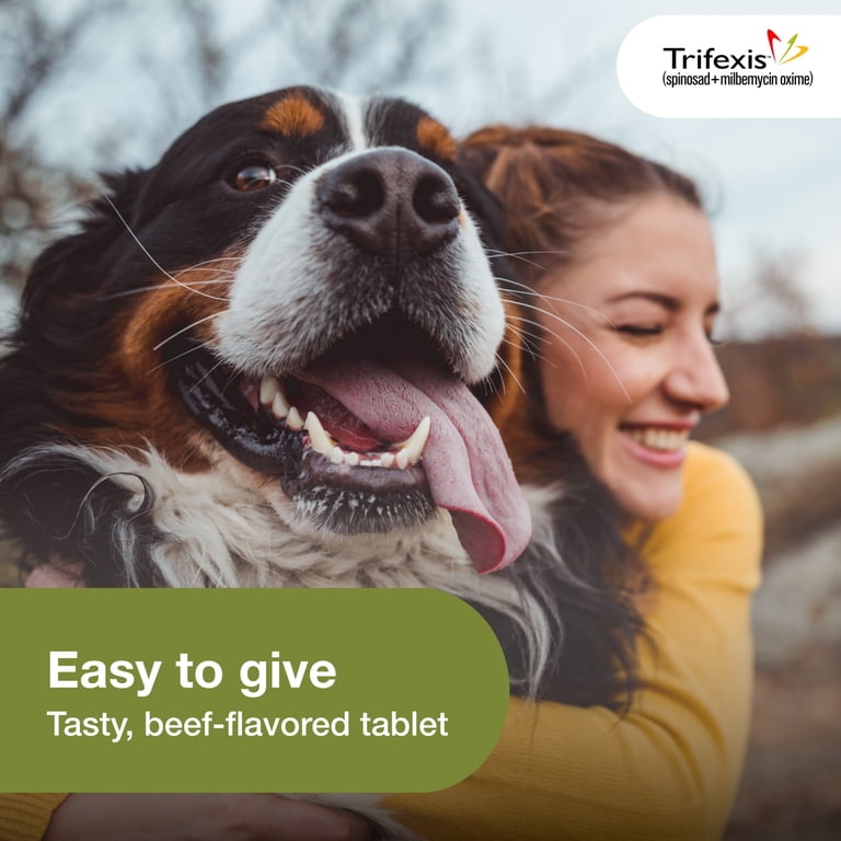 For Dogs Best Price Trifexis Trifexis Chewable Tablets For Dogs Lbs Blue, Size: Count PetSmart