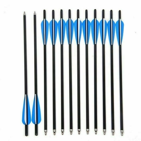 12Pcs Crossbow Bolt Carbon Arrows 20inch OD 8.8mm W/Blue Feather Archery