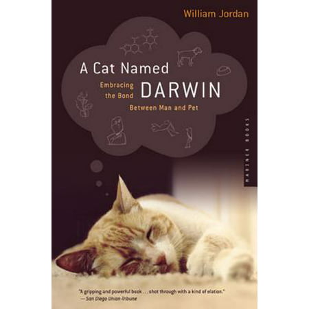 A Cat Named Darwin : Embracing the Bond Between Man and