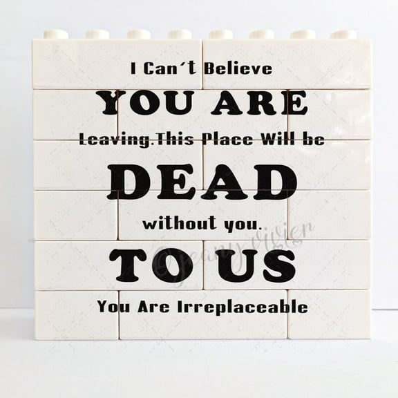Novelty Decorative Sign/Plaque - Coworker Leaving Gifts,Farewell Gifts,Going Away Gift for Coworker,New Job Office Good Luck Goodbye Gifts for Coworkers Colleagues Boss Bestie