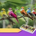 thumbnail image 1 of 1PC Mini Fake Birds Artificial Foam Feathers Mini Birds Home Party Wedding Dec, 1 of 4