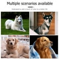thumbnail image 5 of unbranded Collar LED Para Mascotas Con Flexible Y USB Para En Paseos Nocturnos, 5 of 5