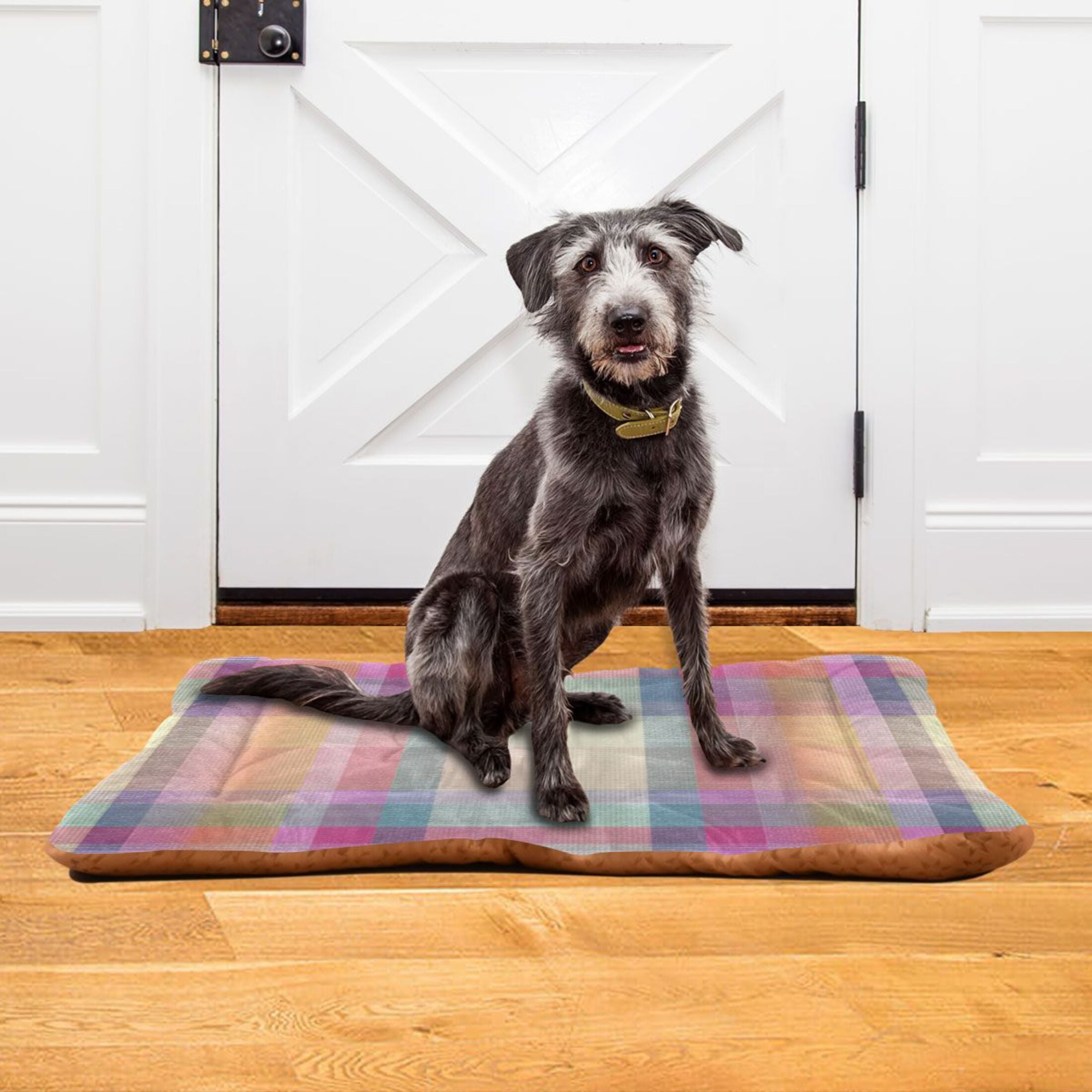 Cozy Mat Pet Bed Indoor Outdoor Warm Soft For Cat Dog Puppy(S/M) Vibrant Pastel Hues