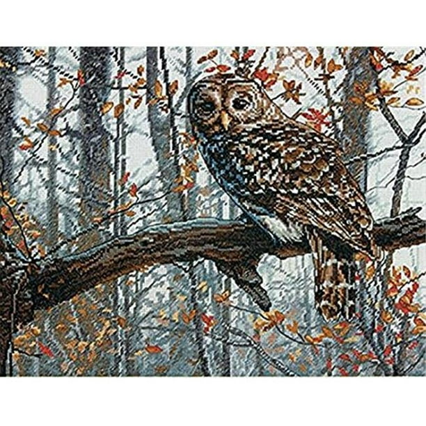 Dimensions Counted Cross-Stitch Kit, Wise Owl - Walmart.com - Walmart.com