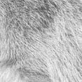 thumbnail image 2 of Villa, Mlli 26x26 White Modern Wood Framed Museum Art Print Titled - Silver Fur, 2 of 4