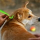 thumbnail image 4 of Peine para pulgas y herramienta para quitar garrapatas para mascotas Cepillo de aseo para perros/gatos Peine para quitar pulgas de acero inoxidable con mango ergonómico, 4 of 5