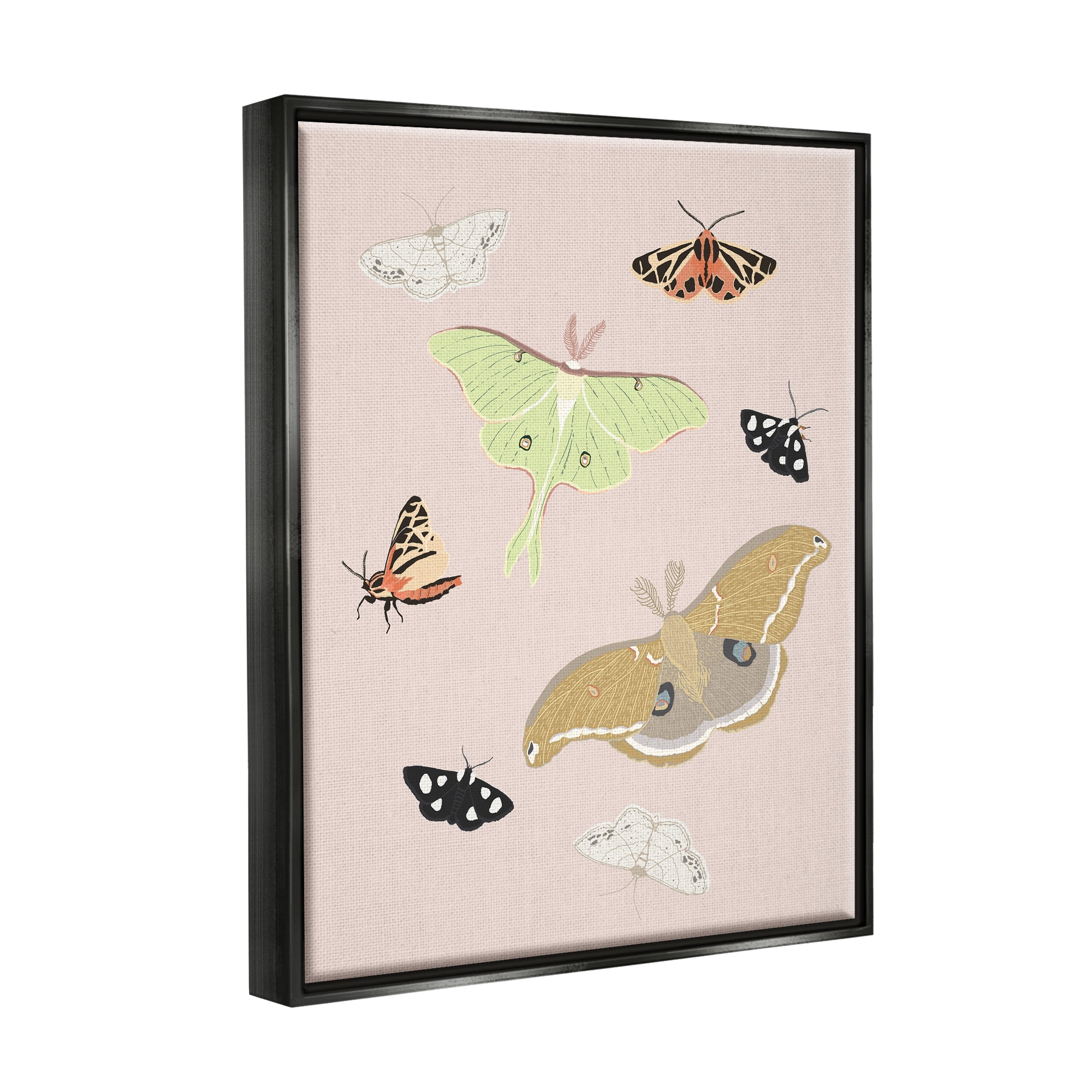 Stupell Industries Moths & Butterflies on Pink Animals & Insects Painting Black Floater Framed Art Print Wall Art, 25 x 31