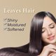 thumbnail image 2 of Aceite Oshima Tsubaki de semilla de camelia 100% puro 60 mL para cabello y piel, 2 of 6