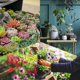 thumbnail image 5 of 14 Pieces Garden Tool Small, Mini Gardening Tools Bonsai Tool, Mini Planting Tool for Potted Plant, Succulent Planting, 5 of 5