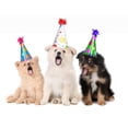 thumbnail image 2 of Puppies Singing Happy Birthday Wall Decal by Wallmonkeys Peel and Stick Graphic (18 in W x 14 in H) WM22048, 2 of 4