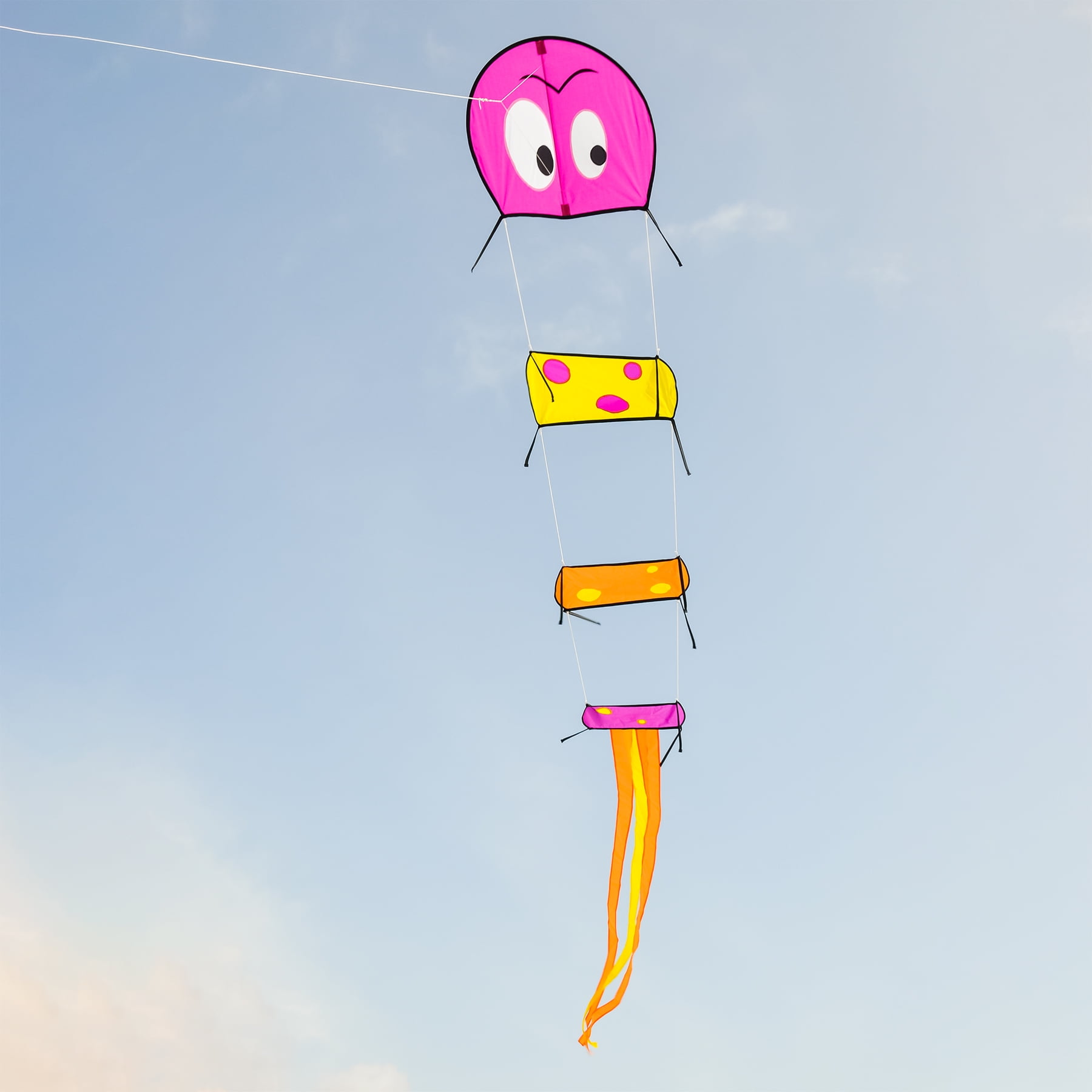 In the Breeze 3131 — Caterpillar Kite — Fun Multi-Section Big Single-Line Kite for All Ages