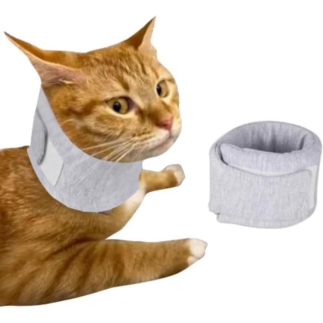 YISITIAN Collier pour Chat Collier Elizabeth pour Animal après Récupération après Chirurgie Cône Cervical Respirant Réglable pour Petits Moyens Chiens Chiots Chatons avec Problèmes de Colonne Vertébrale IVDD CJ919-106648