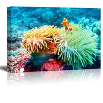 Underwater Landscape with Clown Fish near Tropical Coral Reef Bali Indonesia Gallery ing - Canvas Art Wall Decor - 16" x 24"