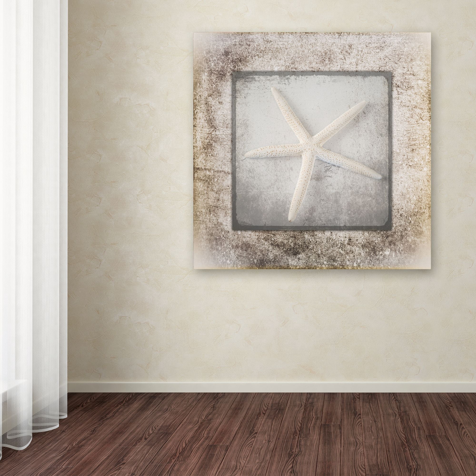 Trademark Fine Art 'Stone Star 3' Canvas Art by LightBoxJournal