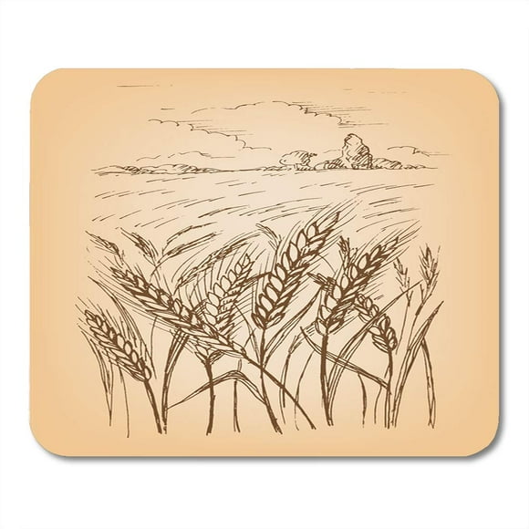 POGLIP Grass Farm Field of Wheat Barley Rye in Graphic Mousepad Mouse Pad Mouse Mat 9x10 inch