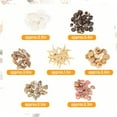 Counch Shell Fish Sinkoo 1000 Pcs Mini Seashells and Starfish, Natural, Beach Decor ...