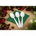 thumbnail image 3 of Karat Earth CPLA Medium-Heavy Weight Compostable Tea Spoons Bulk Box - 1,000 ct, 3 of 7