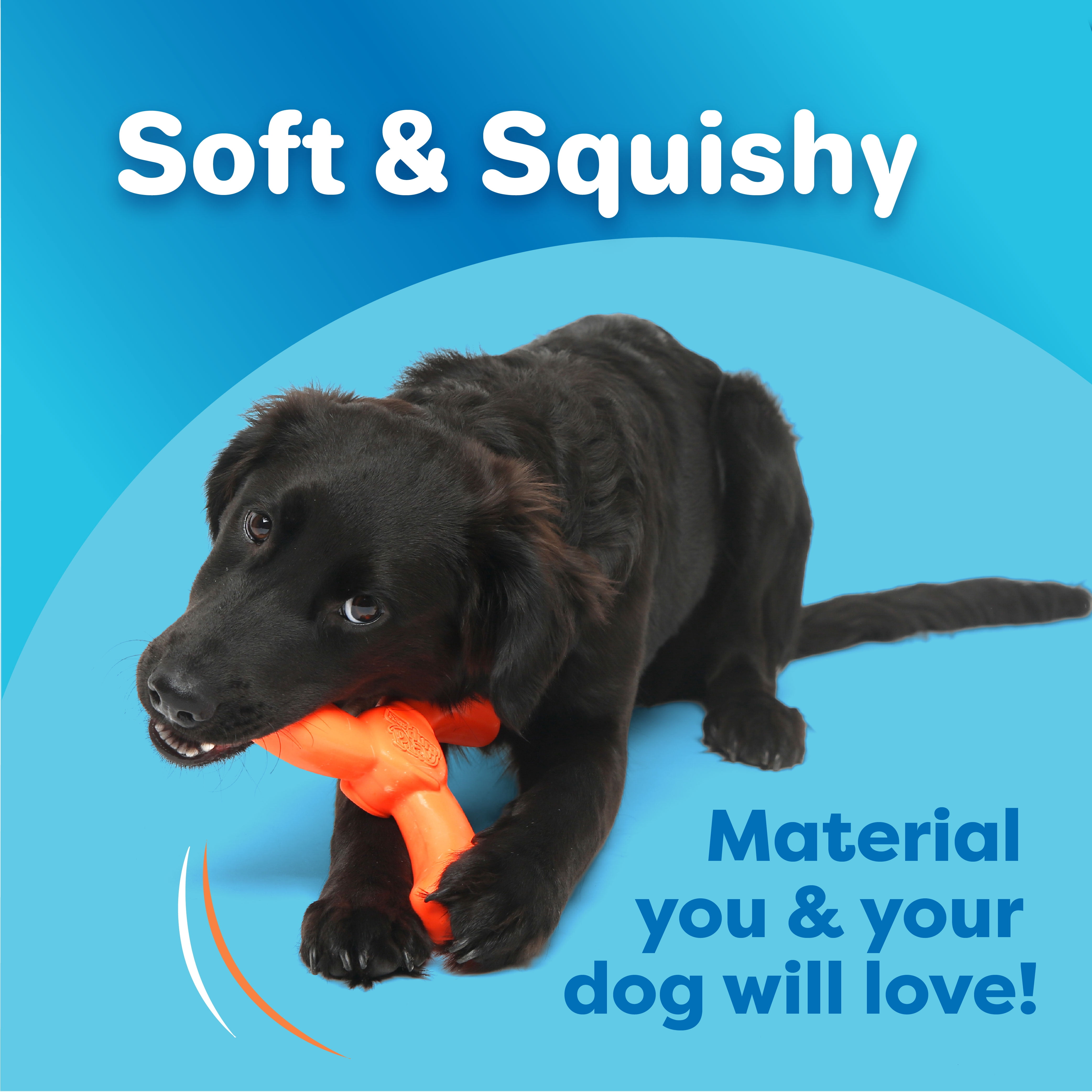 Hartz Dura Play Boomerang Dog Toy, Latex, 1 Count