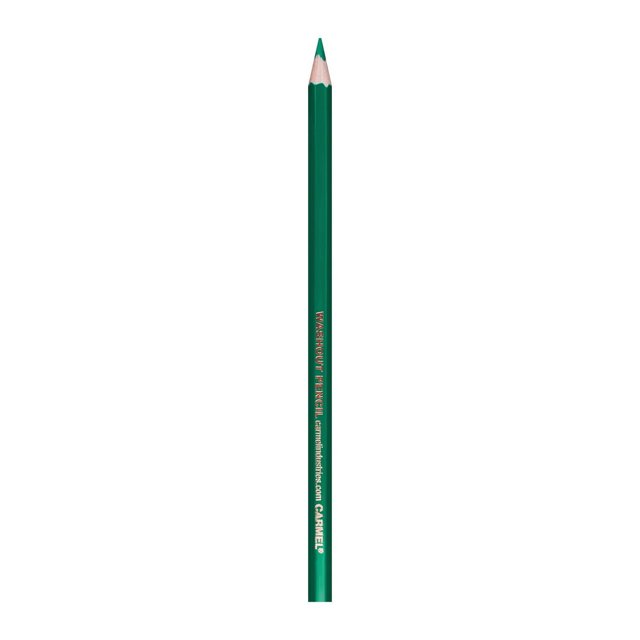 Crayon Lavable - Boîte de 12