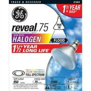General Electric Flood Bulb
