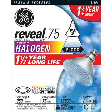 General Electric Flood Bulb