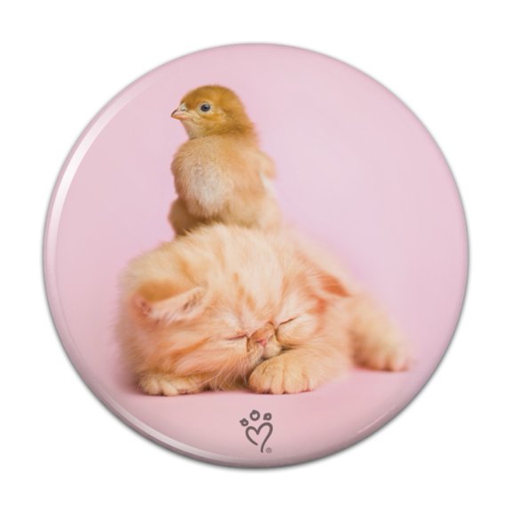 Persian Kitten Cat and Chicken Chick Pinback Button Pin