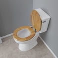 thumbnail image 3 of Designer Wood Seat with Piano Oak Finish, Chrome Hinge, Round Closed Front with Cover, 3 of 6